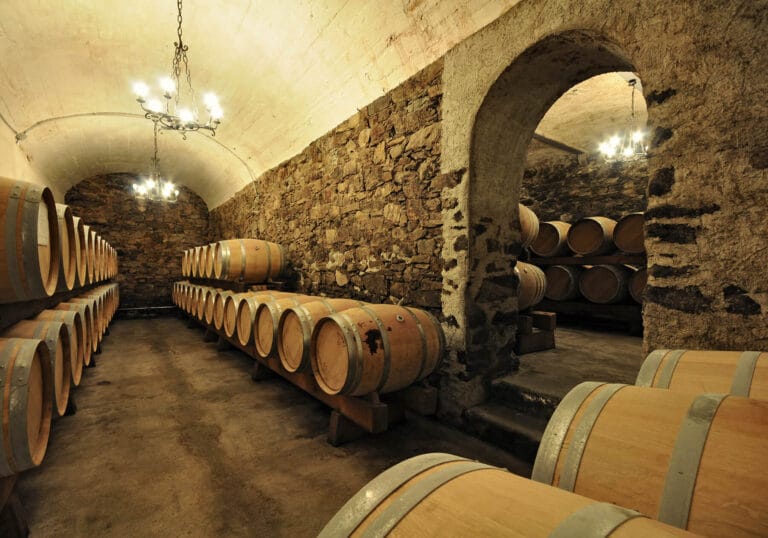Tenuta La Gatta, cantina vini pregiati